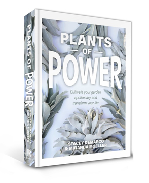 Bild på Plants Of Power