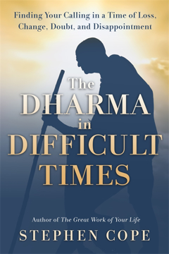 Bild på The Dharma in Difficult Times
