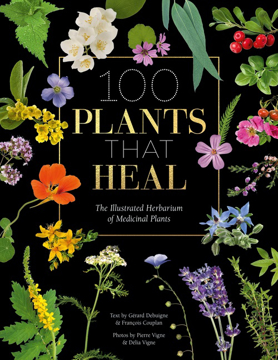 Bild på 100 Plants That Heal