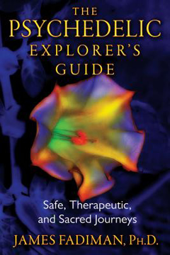 Bild på Psychedelic explorers guide - safe, therapeutic, and sacred journeys