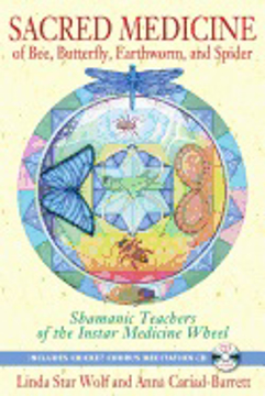Bild på Sacred medicine of bee, butterfly, earthworm, and spider - shamanic teacher