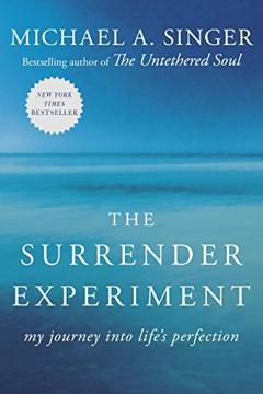 Bild på Surrender experiment - my journey into lifes perfection