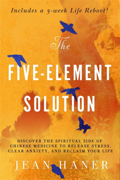Bild på The Five-Element Solution
