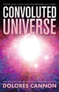 Bild på Convoluted universe: book five