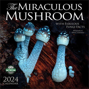 Bild på Miraculous Mushroom 2024 Calendar
