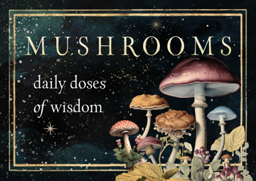 Bild på Mushrooms: Daily Doses of Wisdom (36 Gilt-Edged Full-Color Cards)