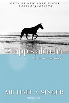Bild på Släpp själen fri : resan bortom dig själv