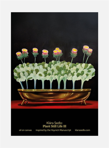 Bild på Plant Still Life III - postcard