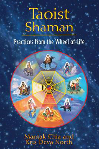 Bild på Taoist Shaman: Practices From The Wheel Of Life