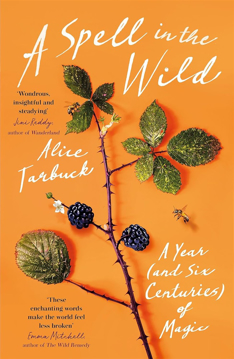 Bild på A Spell in the Wild: A Year (and six centuries) of Magic