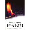 Bild på Anger: Buddhist Wisdom for Cooling the Flames