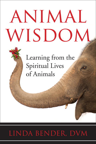 Bild på Animal Wisdom