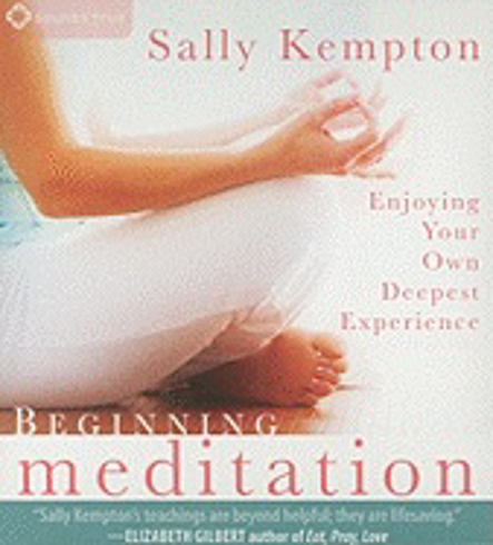 Bild på Beginning Meditation: Enjoying Your Own Deepest Experience