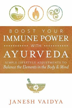 Bild på Boost Your Immune Power with Ayurveda: Simple Lifestyle Adjustments to Balance the Elements in the Body & Mind