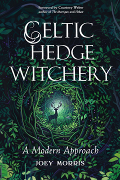 Bild på Celtic Hedge Witchery—A Modern Approach