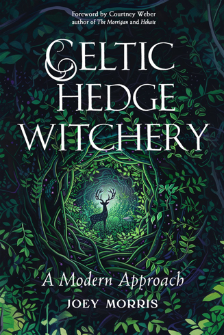 Bild på Celtic Hedge Witchery—A Modern Approach