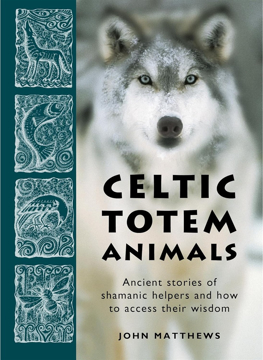 Bild på Celtic Totem Animals