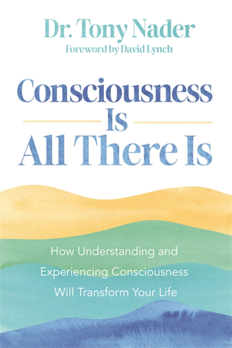 Bild på Consciousness Is All There Is