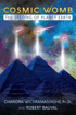 Bild på Cosmic womb - the seeding of planet earth