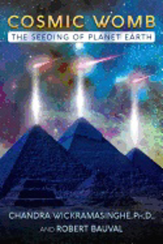 Bild på Cosmic womb - the seeding of planet earth
