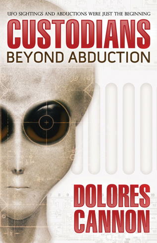 Bild på Custodians - beyond abduction