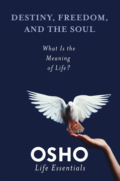 Bild på Destiny, freedom, and the soul - what is the meaning of life?
