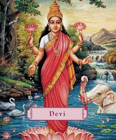 Bild på Devi: The Divine Goddess (Pocket-Sized) (H)