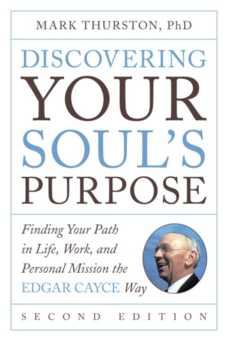 Bild på Discovering your souls purpose - finding your path in life, work, and perso