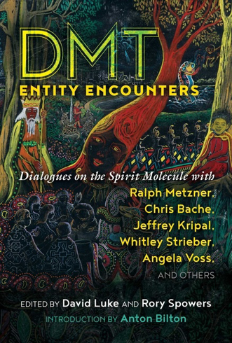 Bild på Dmt Entity Encounters