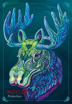 Bild på Echoes of the Wild Souls - Spirit Animals of the Slavic and North Lands (English)