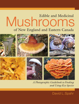 Bild på Edible and Medicinal Mushrooms of New England and Eastern Canada