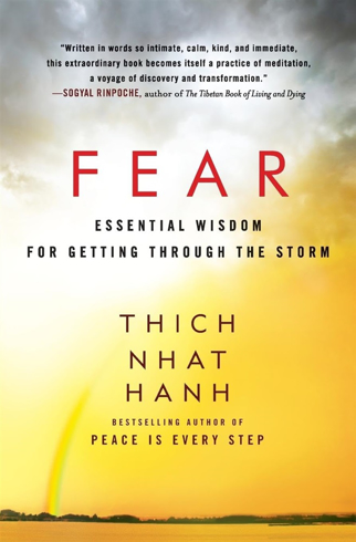 Bild på FEAR: Essential Wisdom For Getting Through The Storm (q)