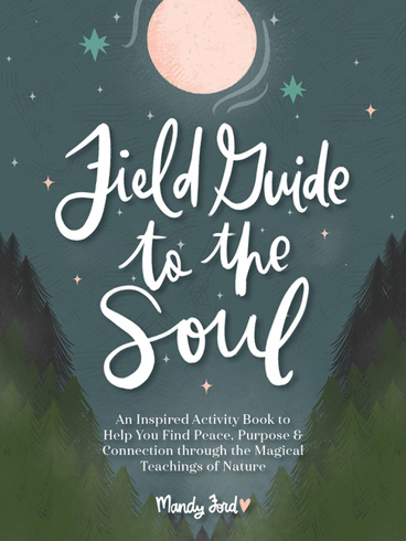 Bild på Field Guide To The Soul