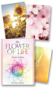 Bild på Flower of Life