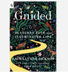 Bild på Guided: The Secret Path to an Illuminated Life