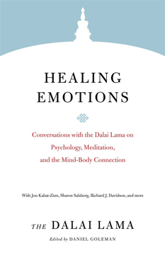 Bild på Healing Emotions