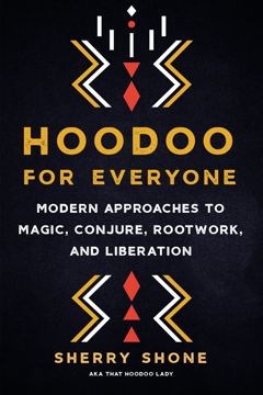 Bild på Hoodoo for Everyone