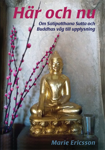 Bild på Här och nu : om Satipatthana Sutta och Buddhas väg till upplysning