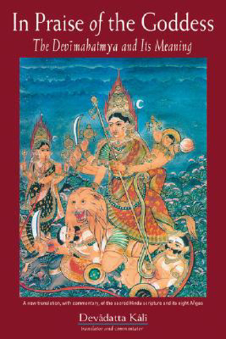 Bild på In Praise of the Goddess: The Devimahatmya and Its Meaning