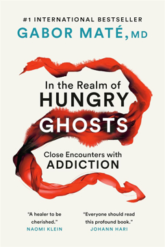 Bild på In the realm of hungry ghosts - close encounters with addiction
