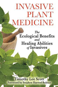 Bild på Invasive Plant Medicine: The Ecological Benefits & Healing Abilities Of Invasives