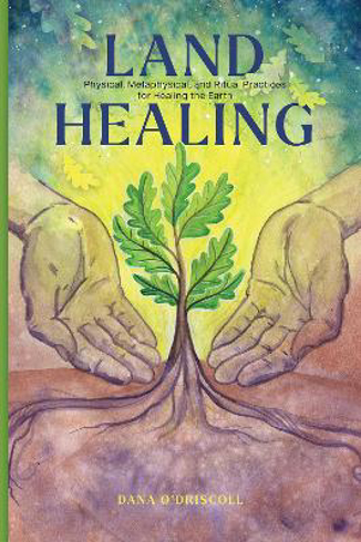 Bild på Land Healing: Physical, Metaphysical, and Ritual Practices for Healing the Earth