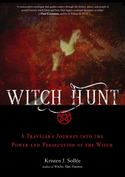 Bild på Witch Hunt (Paperback)