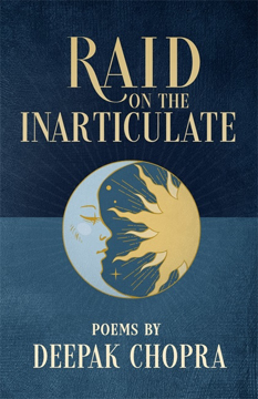 Bild på Raid on the Inarticulate