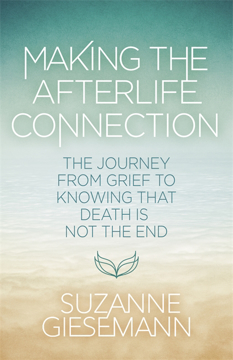 Bild på Making the Afterlife Connection: The Journey from Grief to Knowing that Death Is Not the End