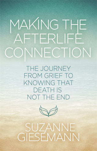 Bild på Making the Afterlife Connection: The Journey from Grief to Knowing that Death Is Not the End