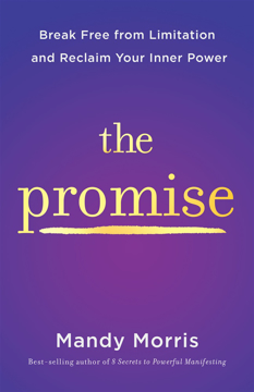 Bild på The Promise