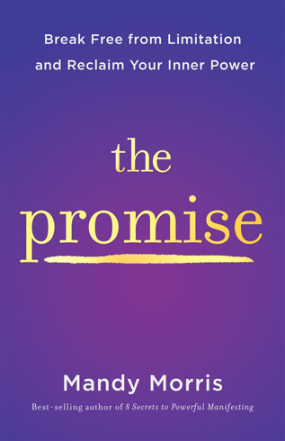 Bild på The Promise