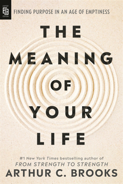 Bild på The Meaning of Your Life
