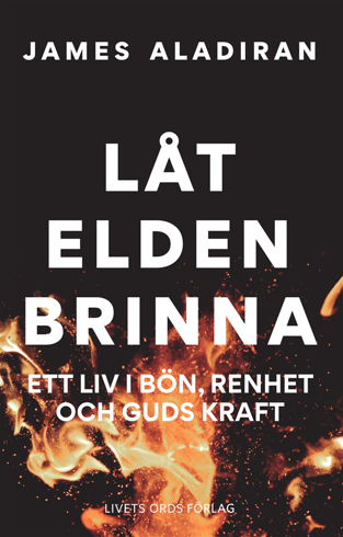 Bild på Låt elden brinna